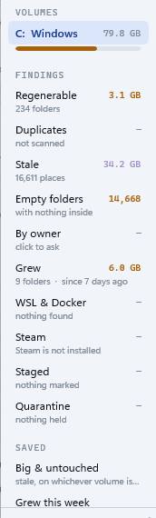 The findings rail: Regenerable, Duplicates, Stale, Empty folders, By owner, Grew, WSL & Docker, Steam, Staged, Quarantine